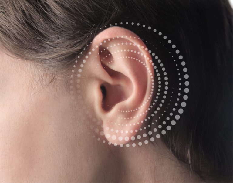 Photo d'une oreille